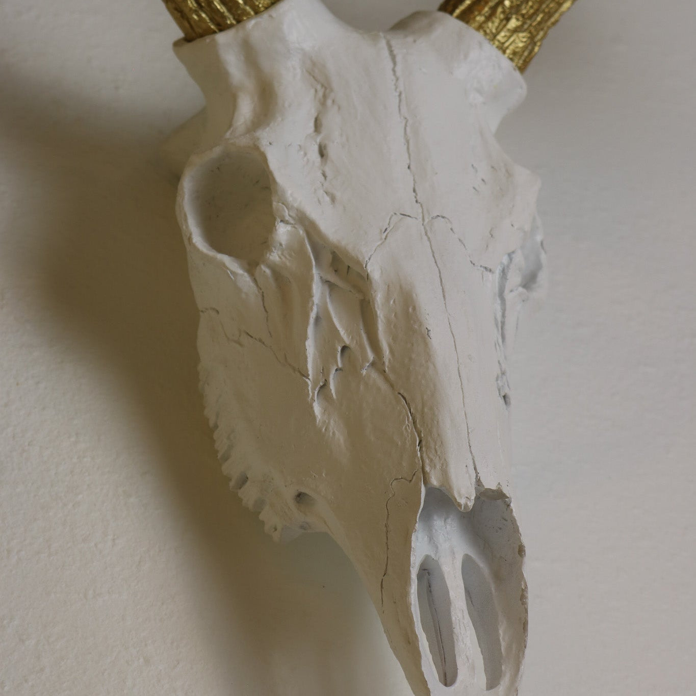 Wall Décor Gold-Antlered Resin Deer Skull