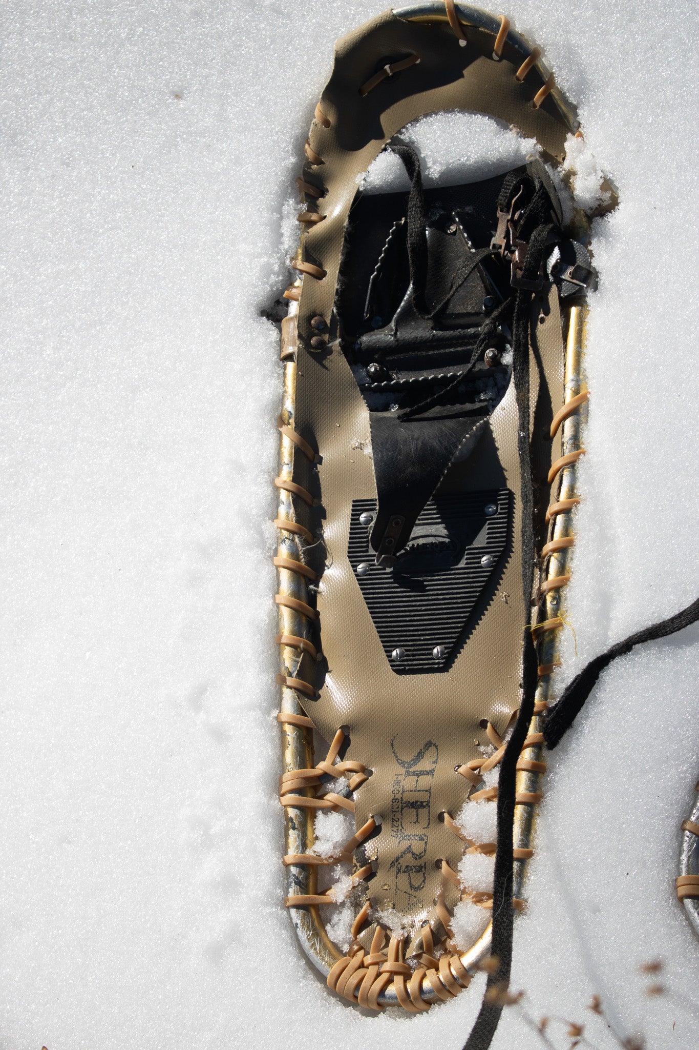 Sherpa Snow shoes