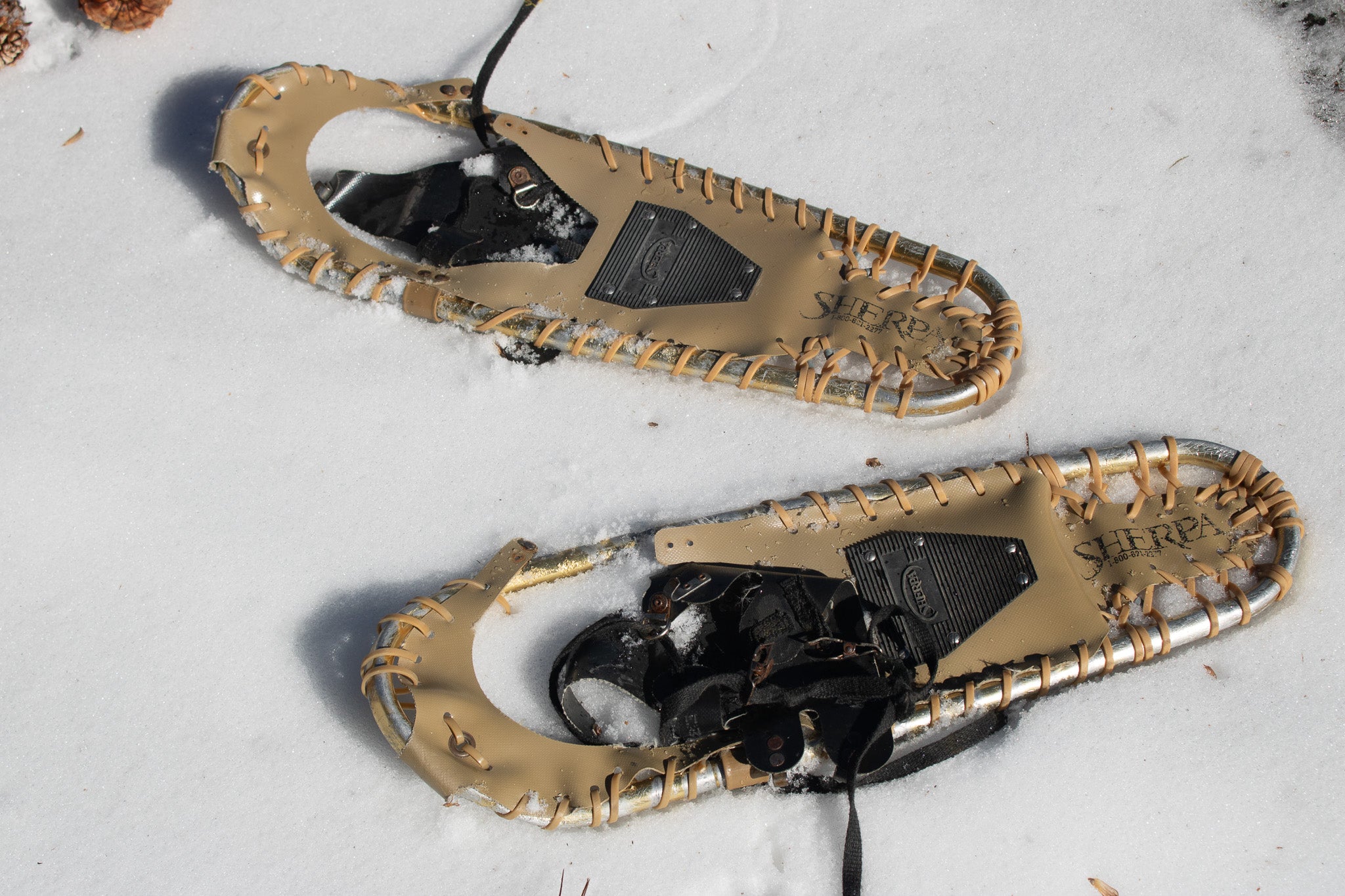 Sherpa Snow shoes