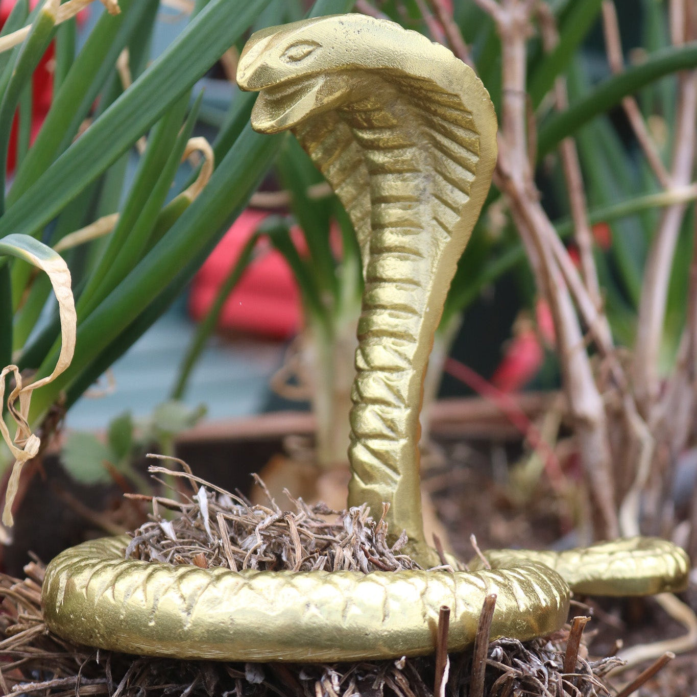 Gold Snake Decoration Sculpture For Kitchen or Home