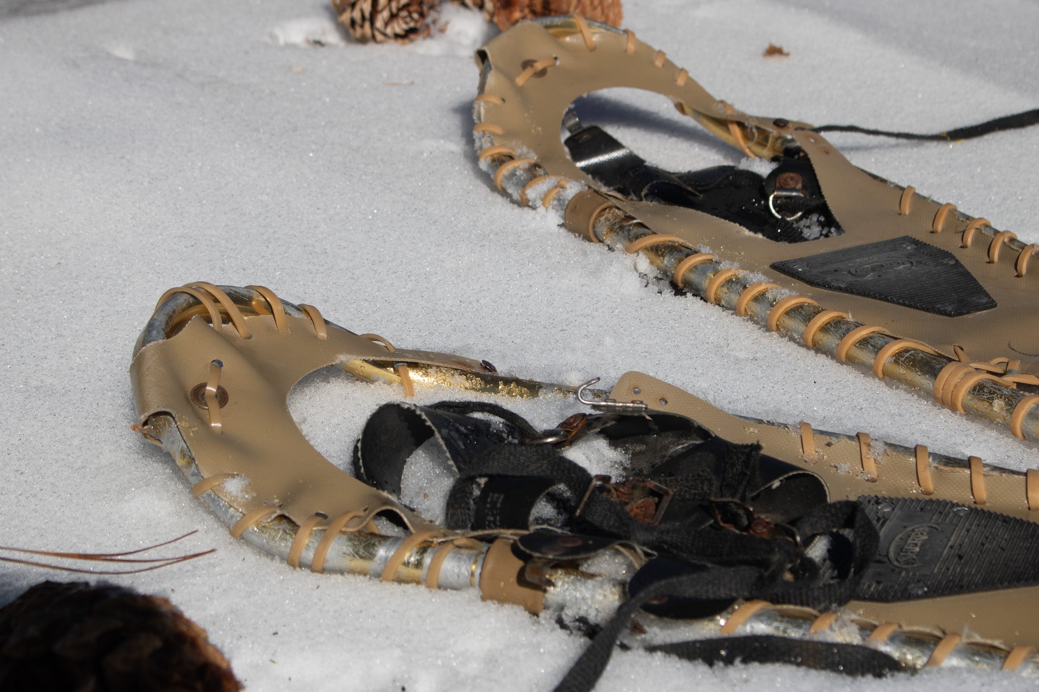 Sherpa Snow shoes