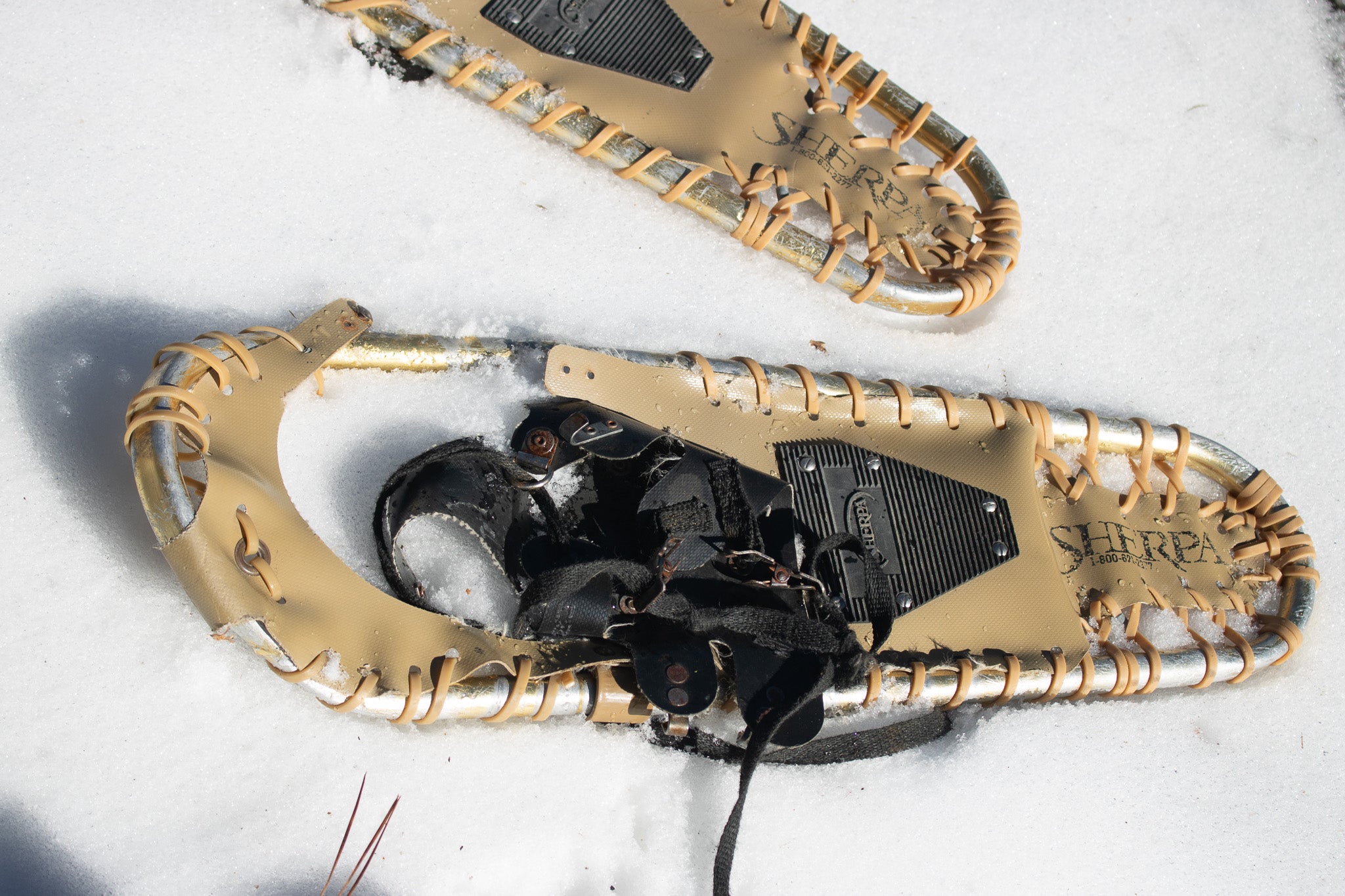 Sherpa Snow shoes