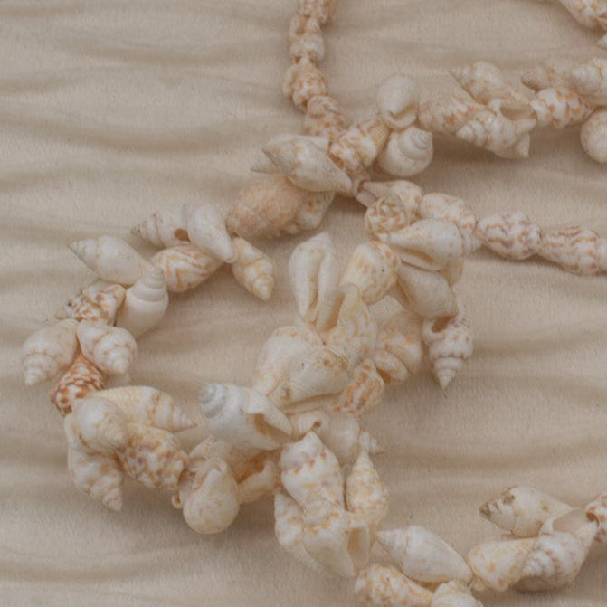 Cowrie Seashell Long Necklace
