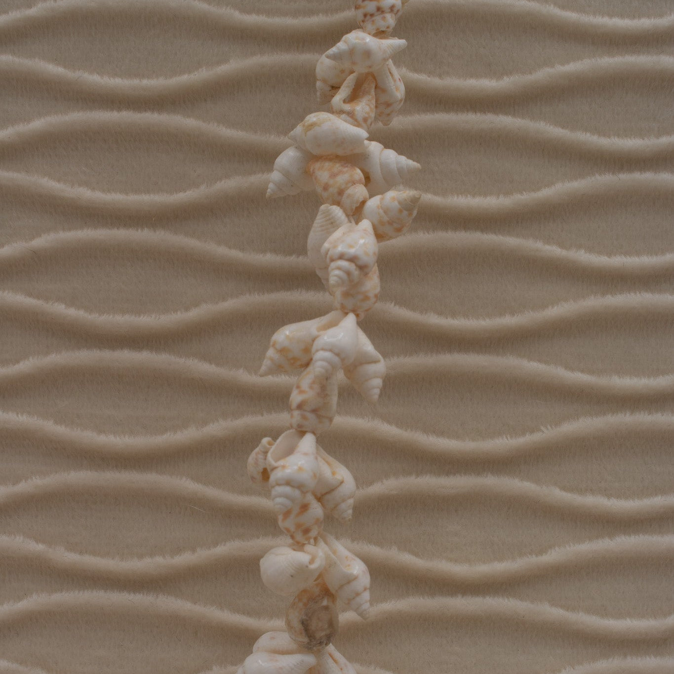 Cowrie Seashell Long Necklace