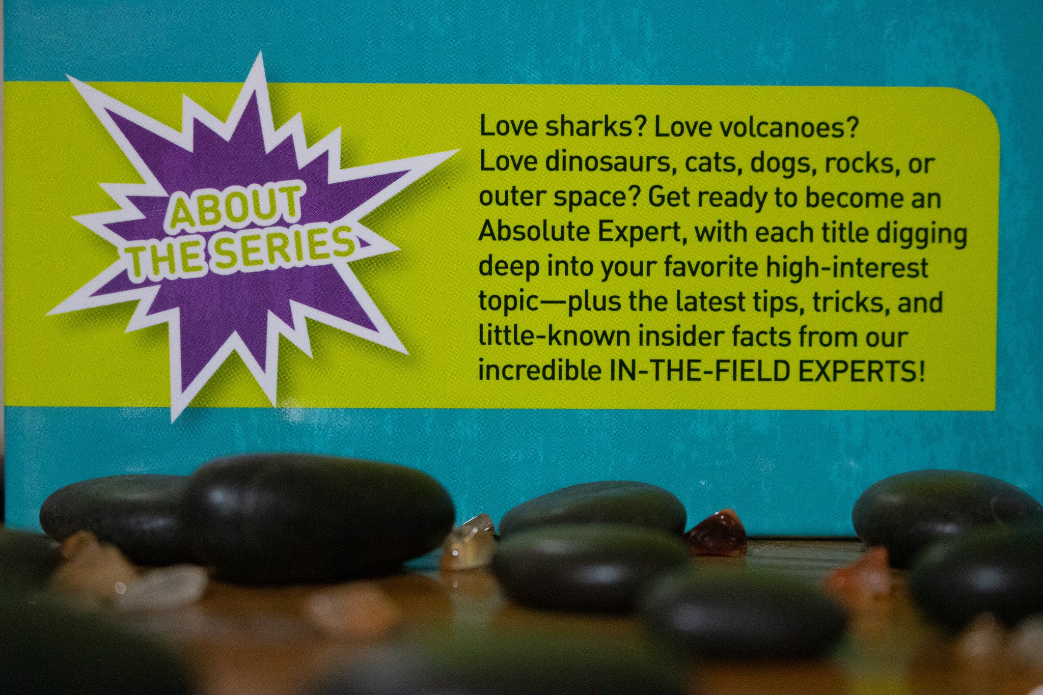 Absolute Expert: Rocks & Minerals Hardback Book