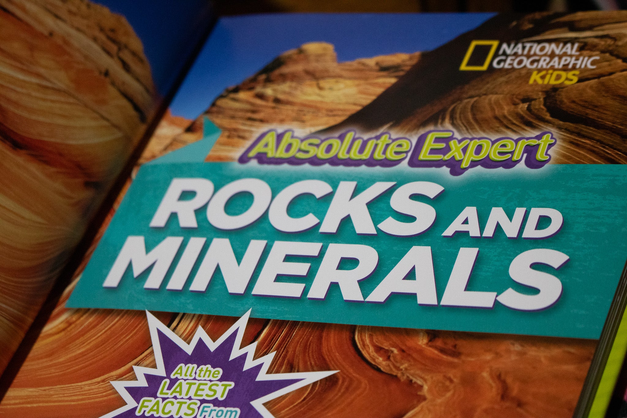 Absolute Expert: Rocks & Minerals Hardback Book
