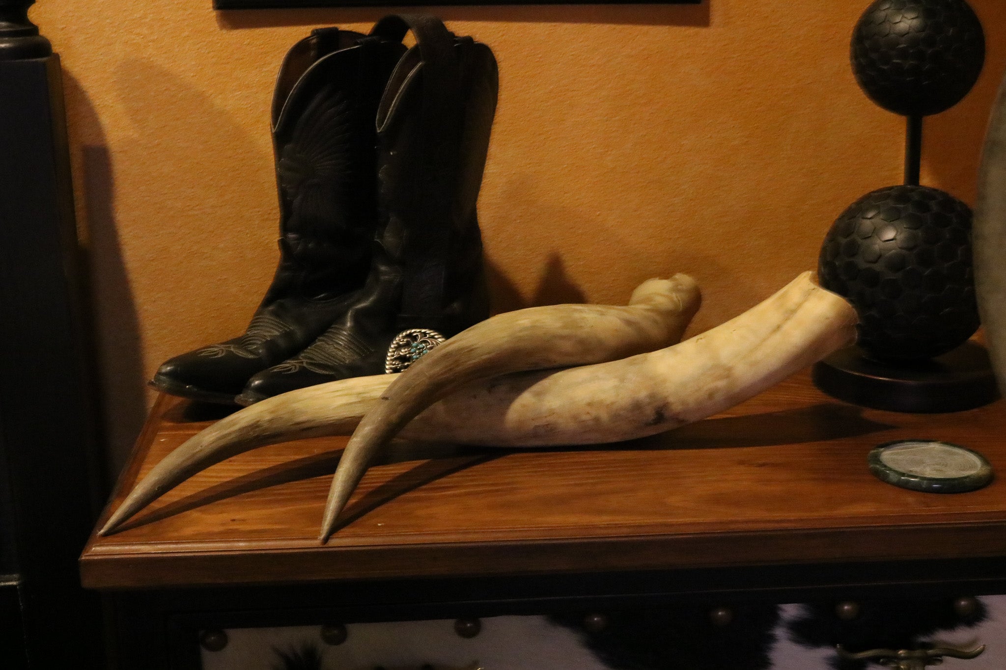 Pair of Authentic Bull Horns