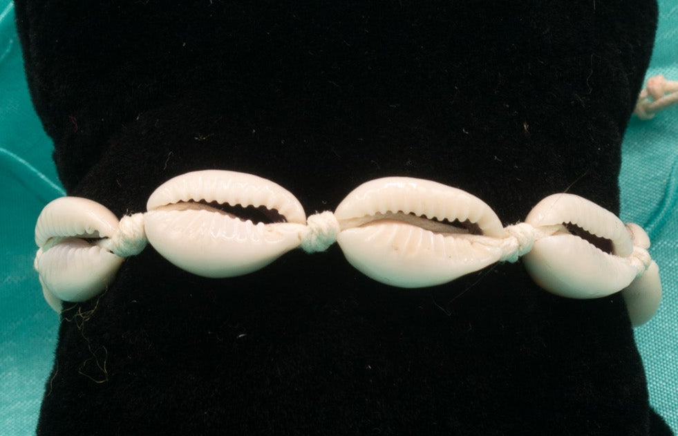 White Seashell Jute Cord Bracelet