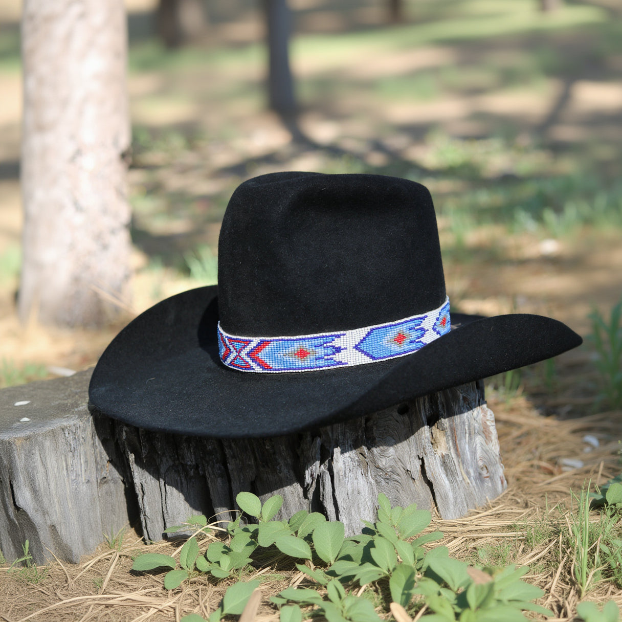 Black Resistol Felt Cowboy Hat