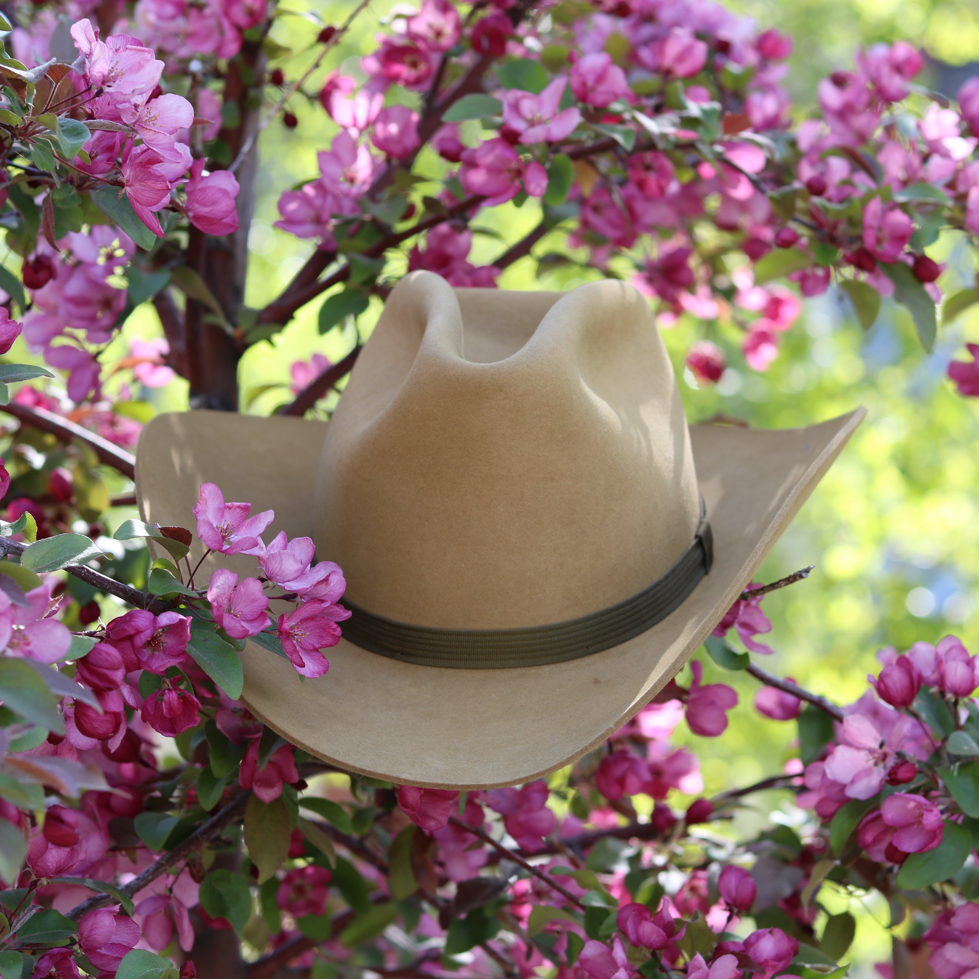 Bradford Glyco-Tite Process Fur Felt Cowboy Hat
