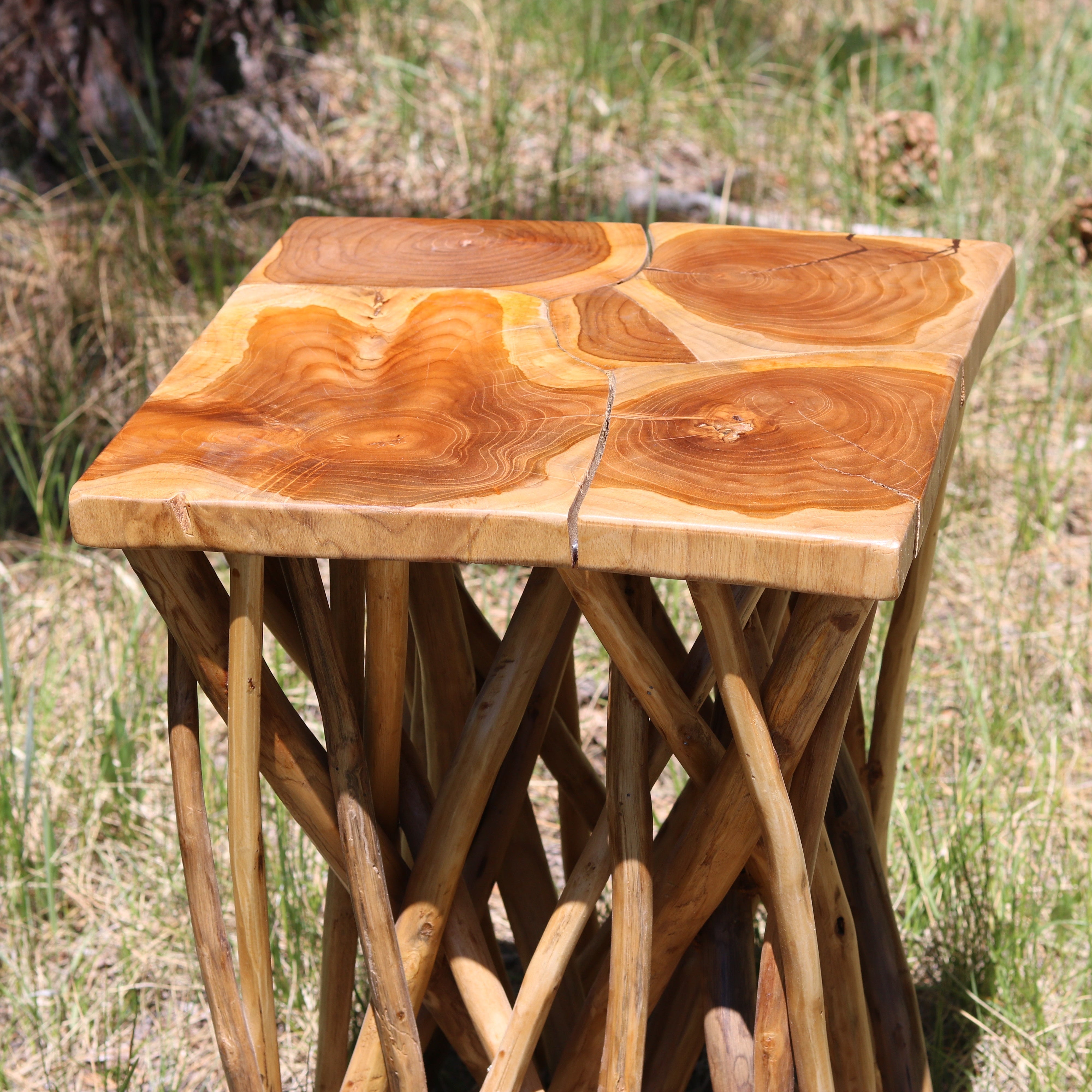 Beautifully Crafted Wood Nautica Side Table with Real Tree-Branch Limbs