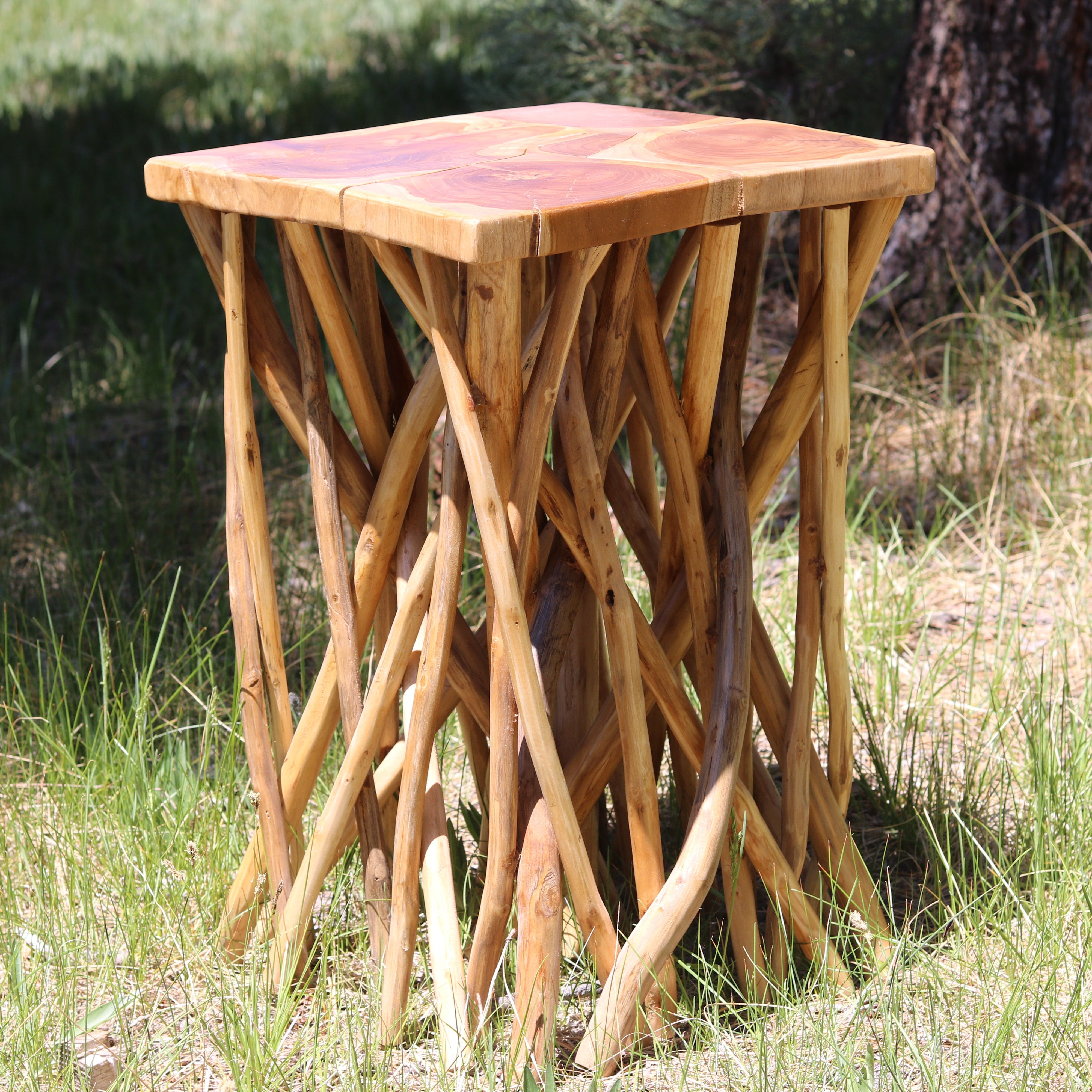 Beautifully Crafted Wood Nautica Side Table with Real Tree-Branch Limbs