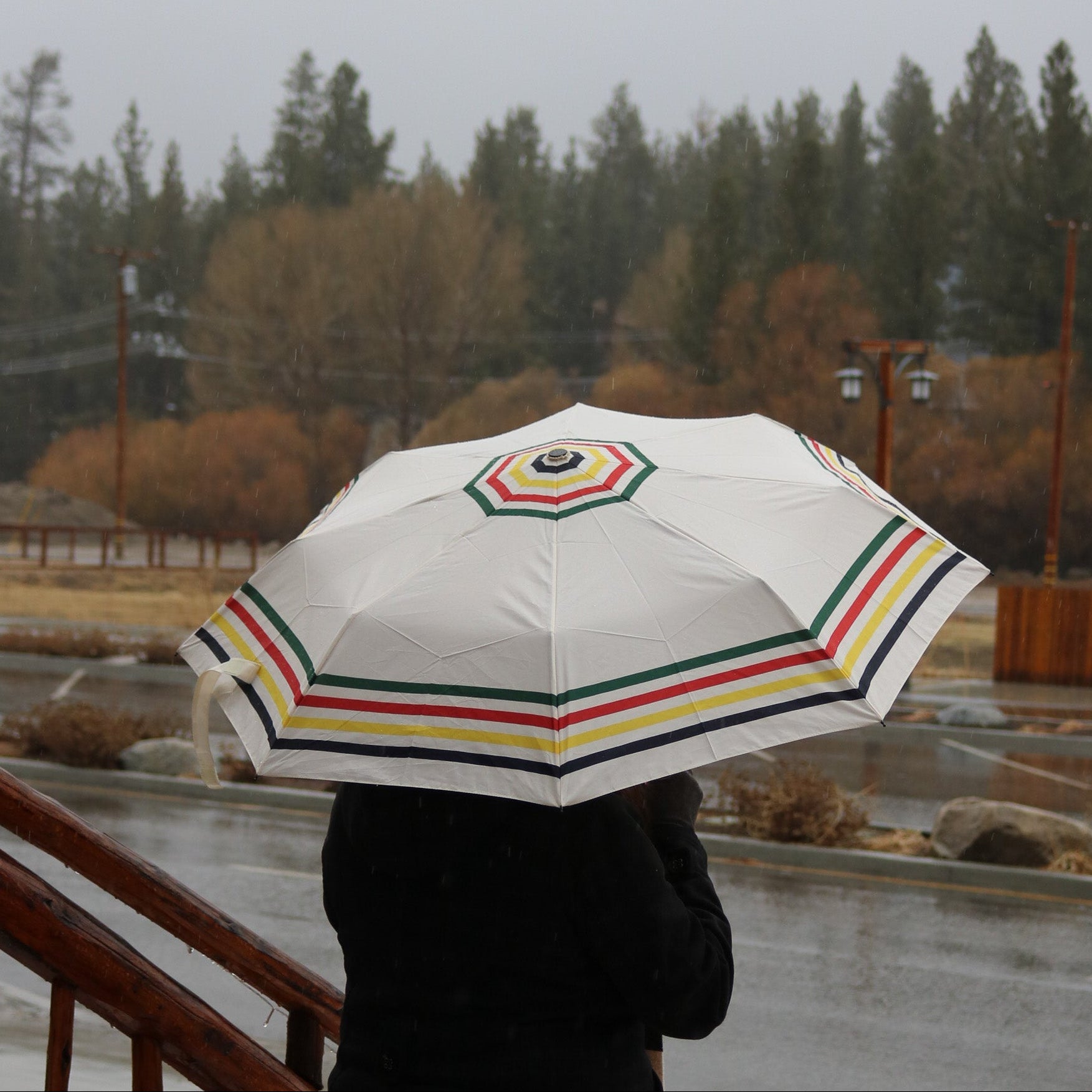 Pendleton Glacier National Park Umbrella