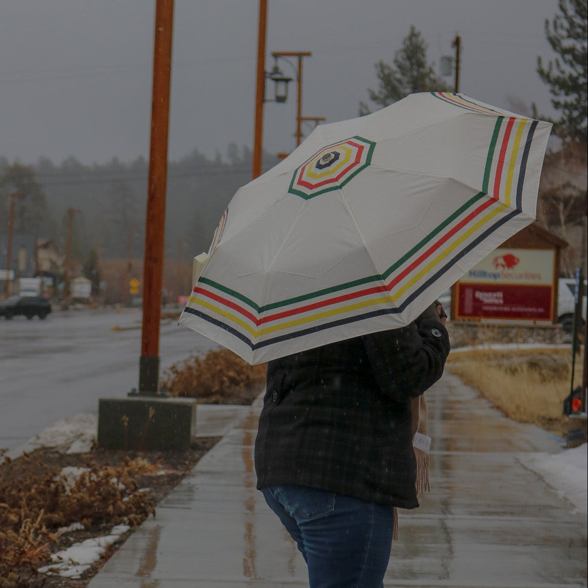 Pendleton Glacier National Park Umbrella