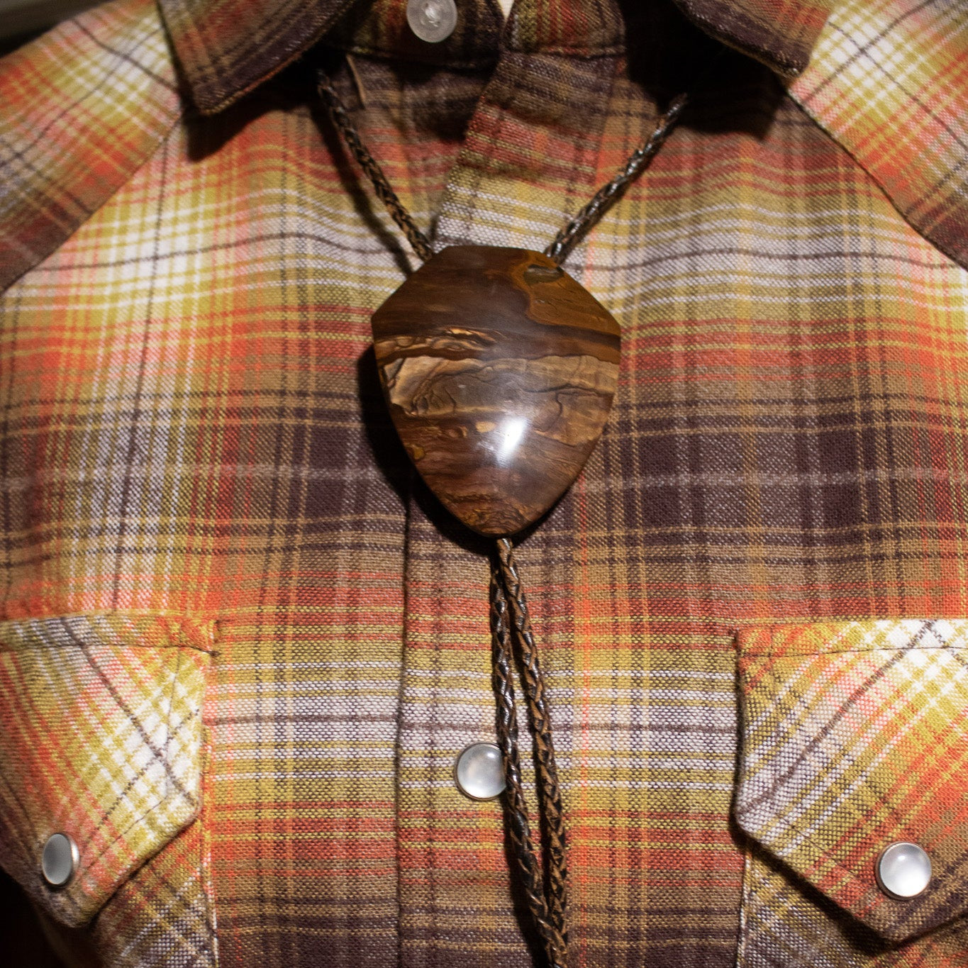 Large Petrified Wood Medallion Bolo Tie