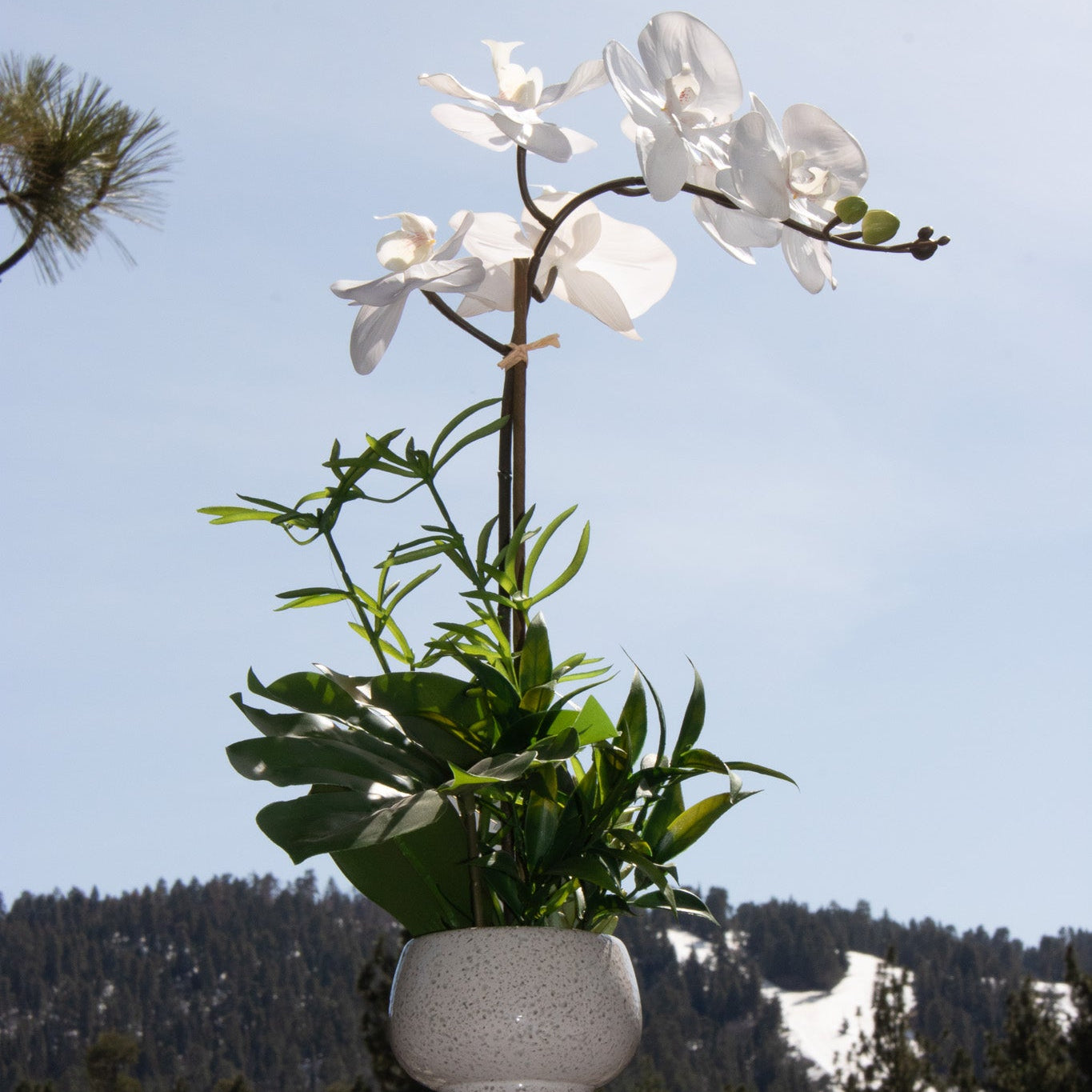 Elegant House Garden Faux White Orchid with Lush Greenery in Stylish Ceramic Vase