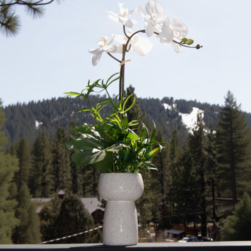 Elegant House Garden Faux White Orchid with Lush Greenery in Stylish Ceramic Vase