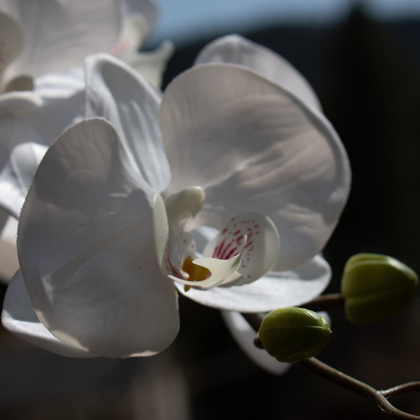 Elegant House Garden Faux White Orchid with Lush Greenery in Stylish Ceramic Vase