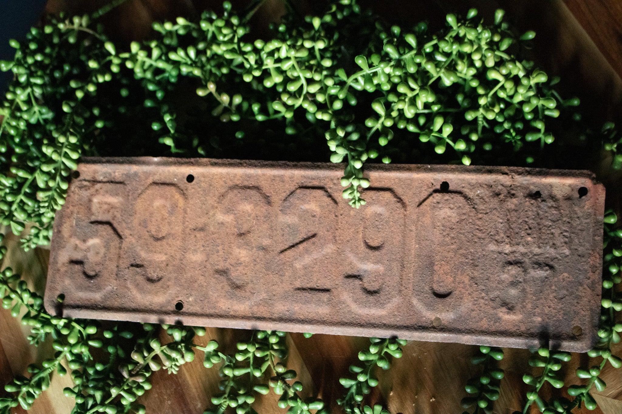 Vintage Rustic 1937 Collectible License Plates