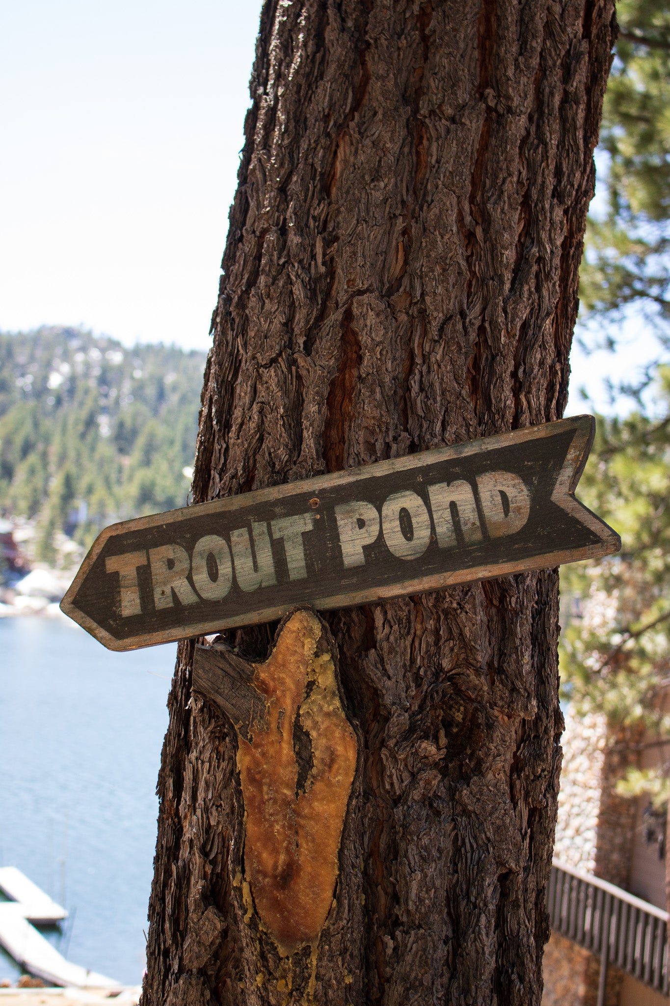 "Trout Pond" Wooden Novelty Sign