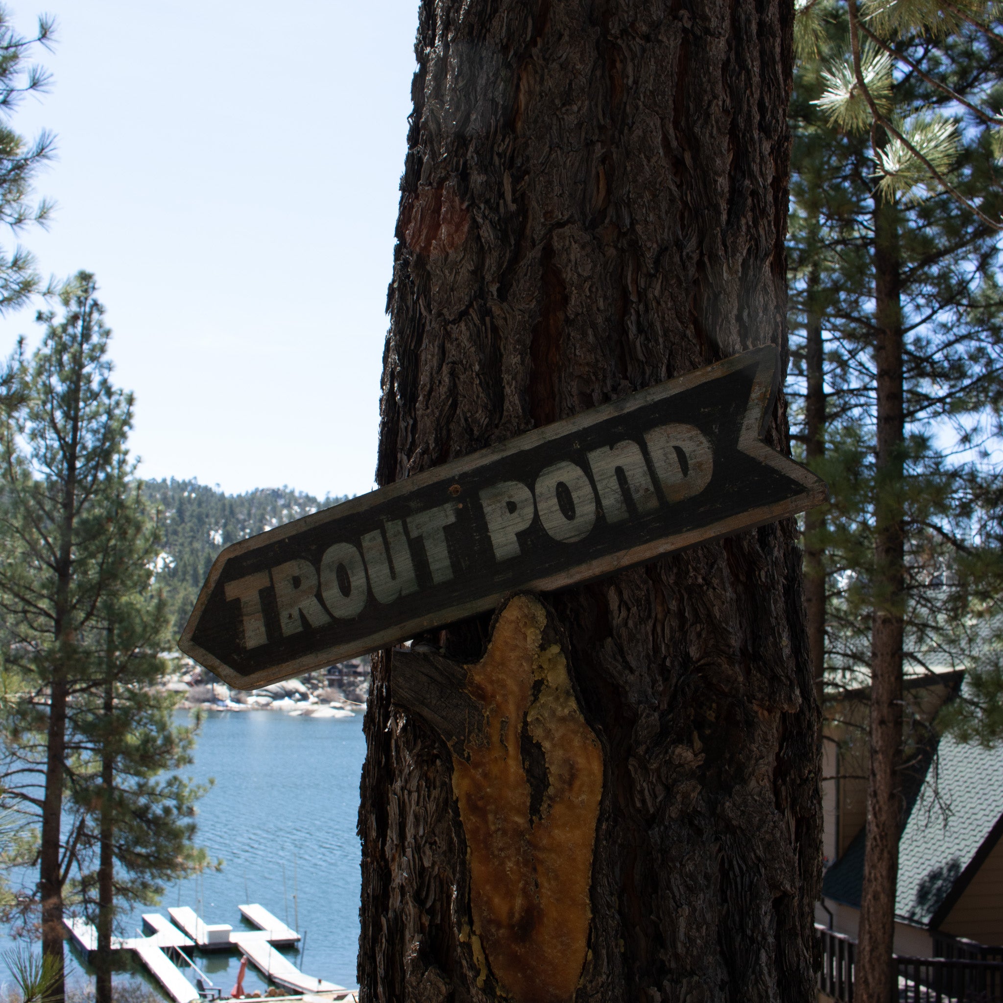 "Trout Pond" Wooden Novelty Sign