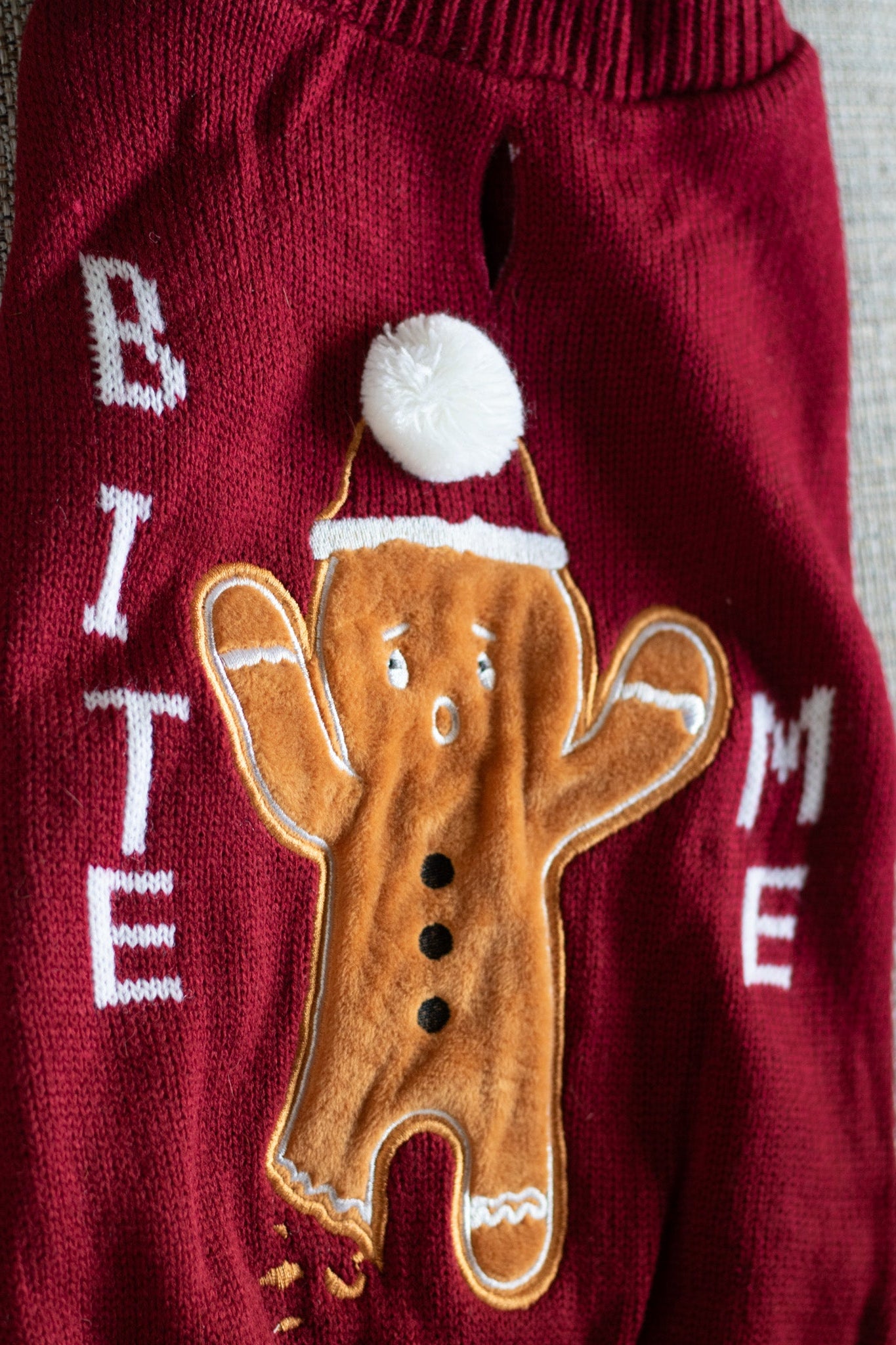 Frisco Bite Me Gingerbread Dog & Cat Christmas Sweater
