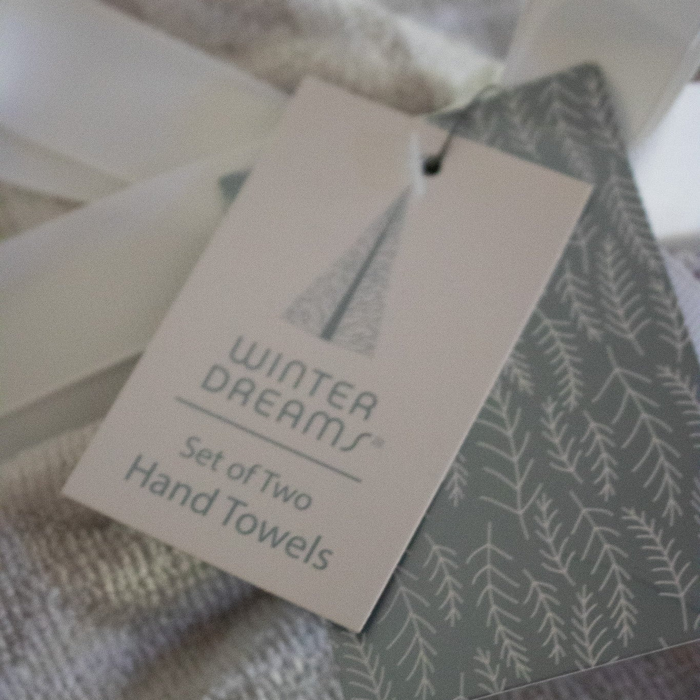Winter Dreams Elegant Set of 2 Silver Hand Towels with Snowflakes