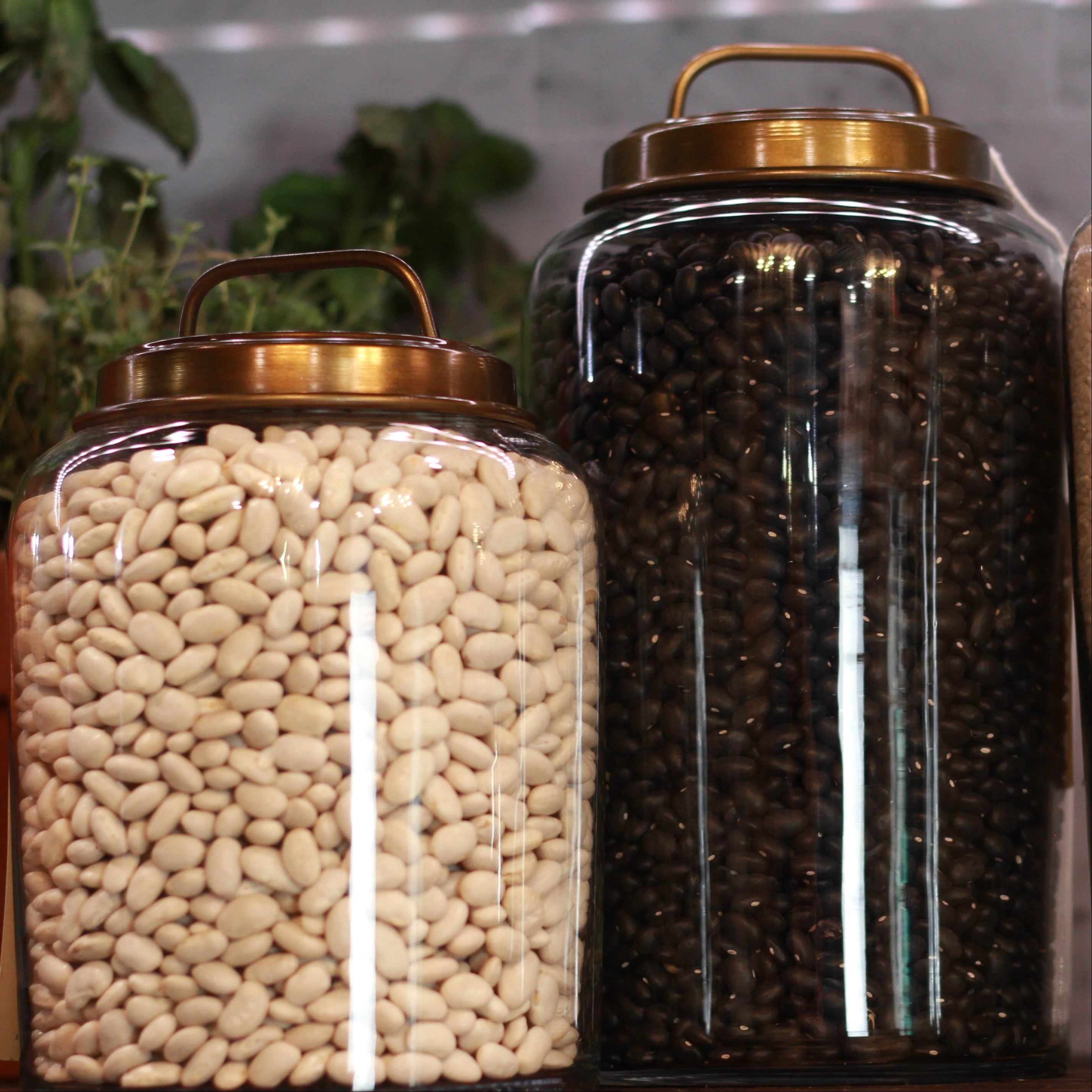 Premium Set of 2 Crown & Ivy Canisters with Metal Bronzed Lid