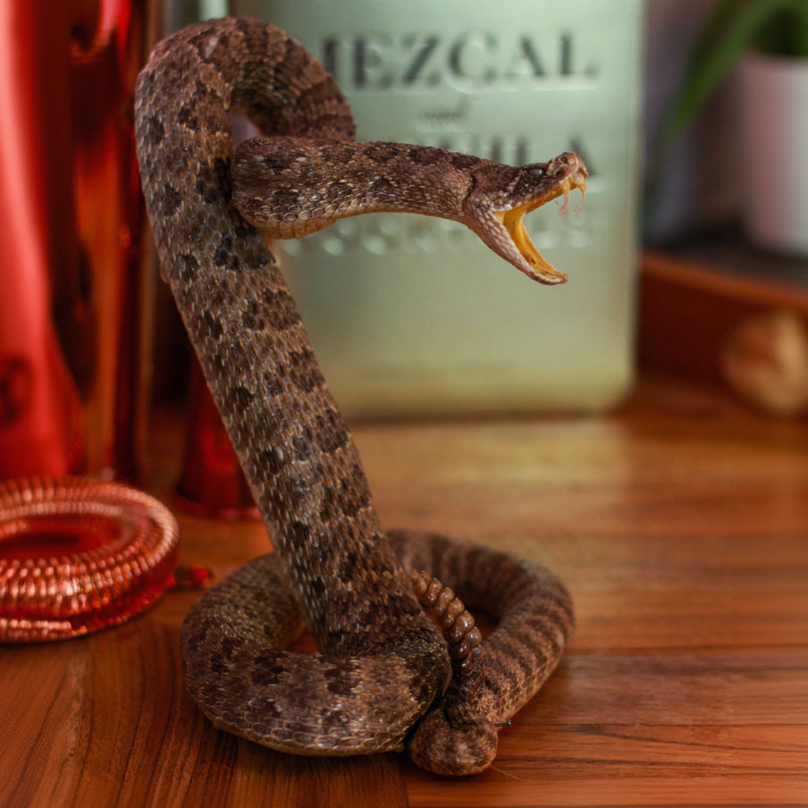Vintage Small Striker Prairie Rattlesnake
