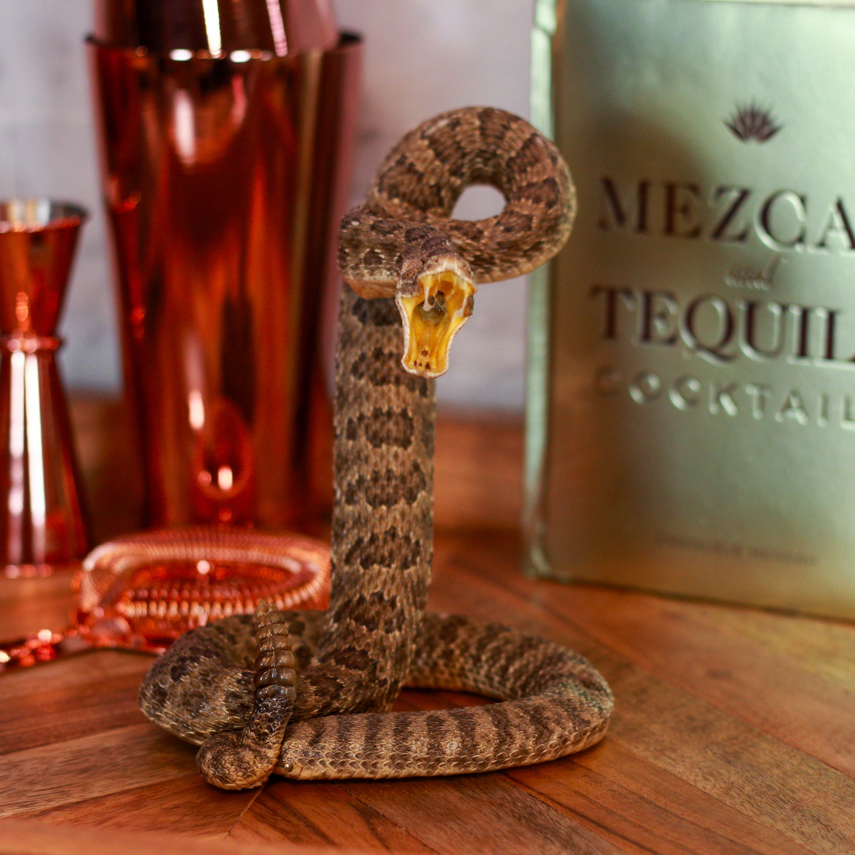 Vintage Small Striker Prairie Rattlesnake