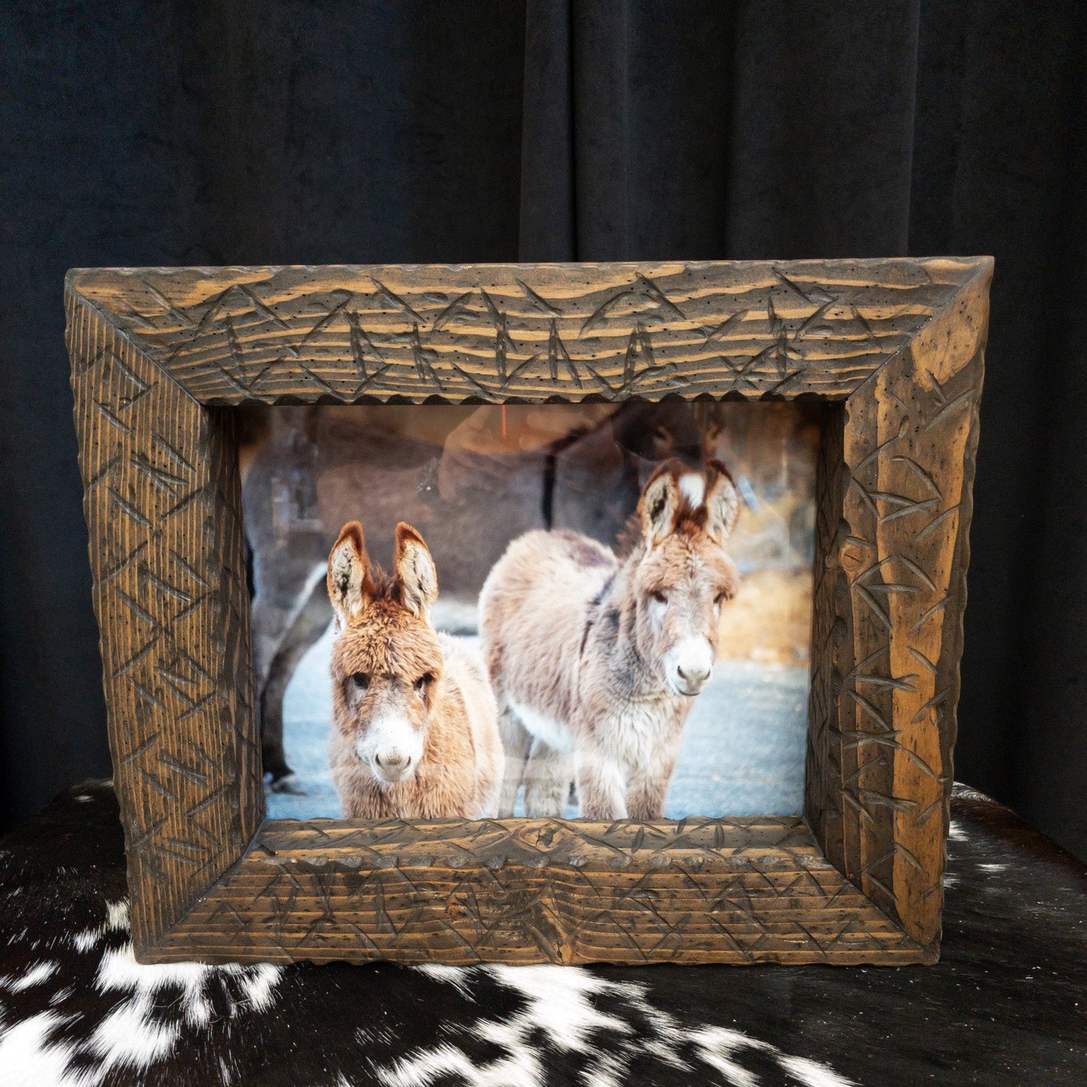 Original Photo of 3 Burros in Big Bear California