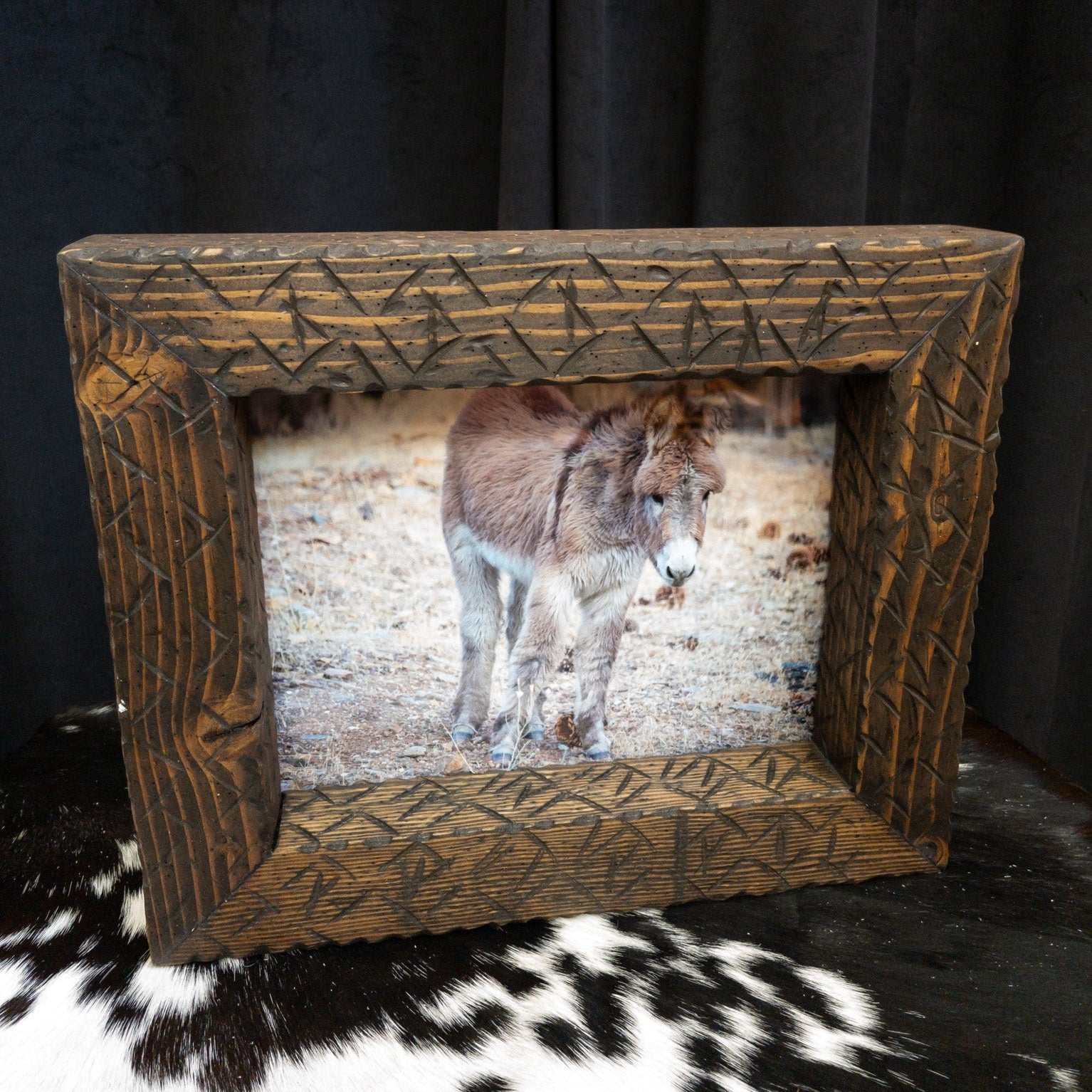 Original Framed Photo of a Burro in Big Bear California