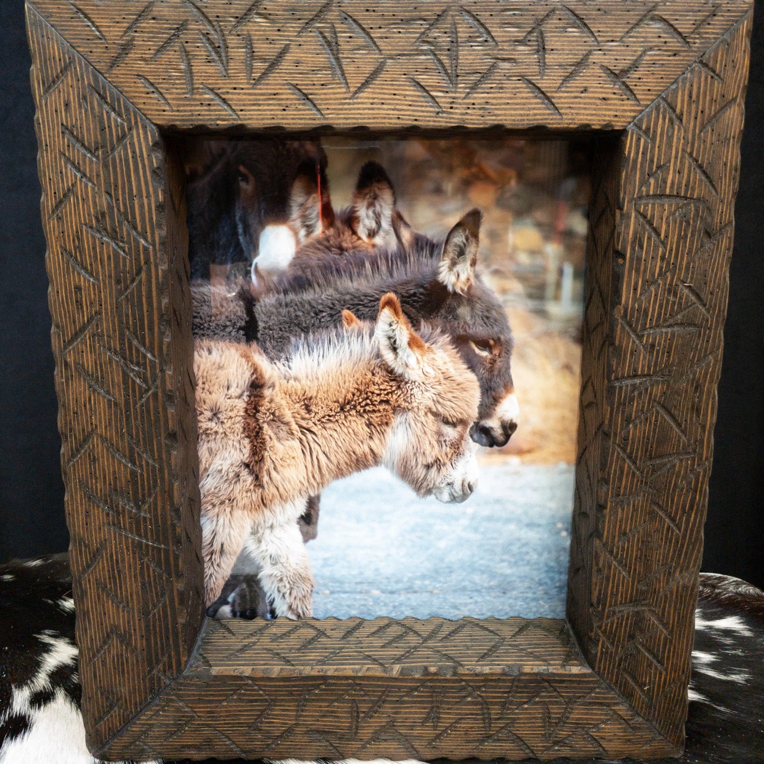 Original Framed Photo of Burros in Big Bear California
