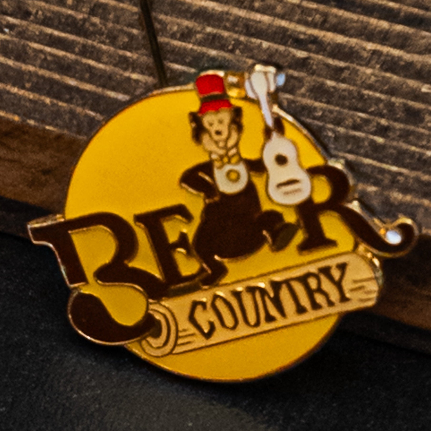 Bear Country Walt Disney Pin