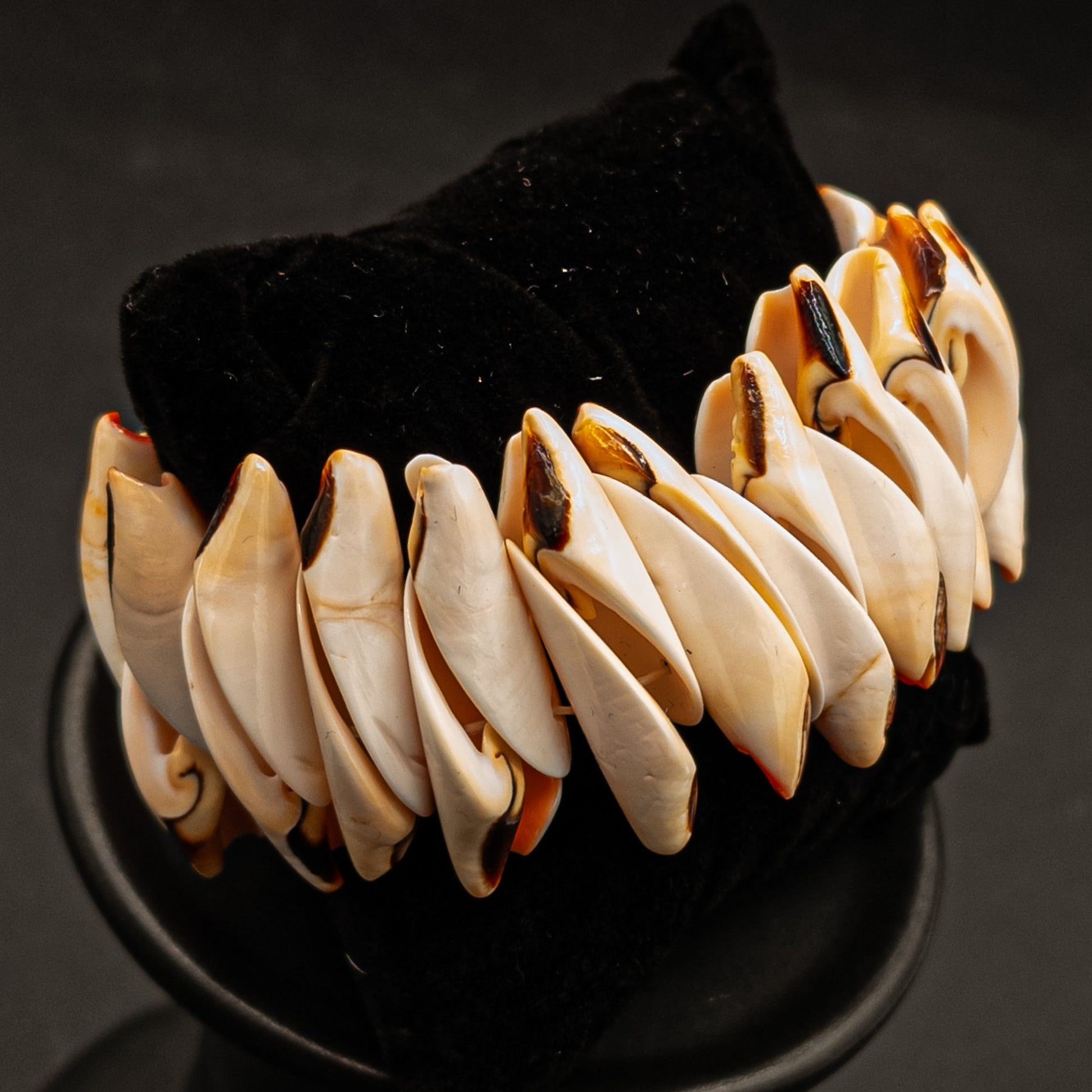 Conch Shell Stretch Bracelet