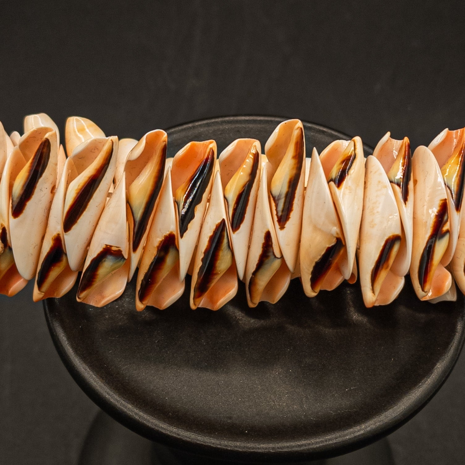 Conch Shell Stretch Bracelet