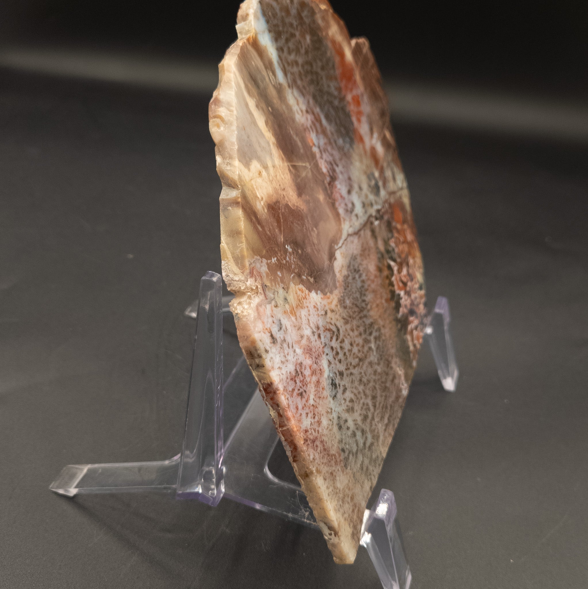 Sagenite Agate Slab