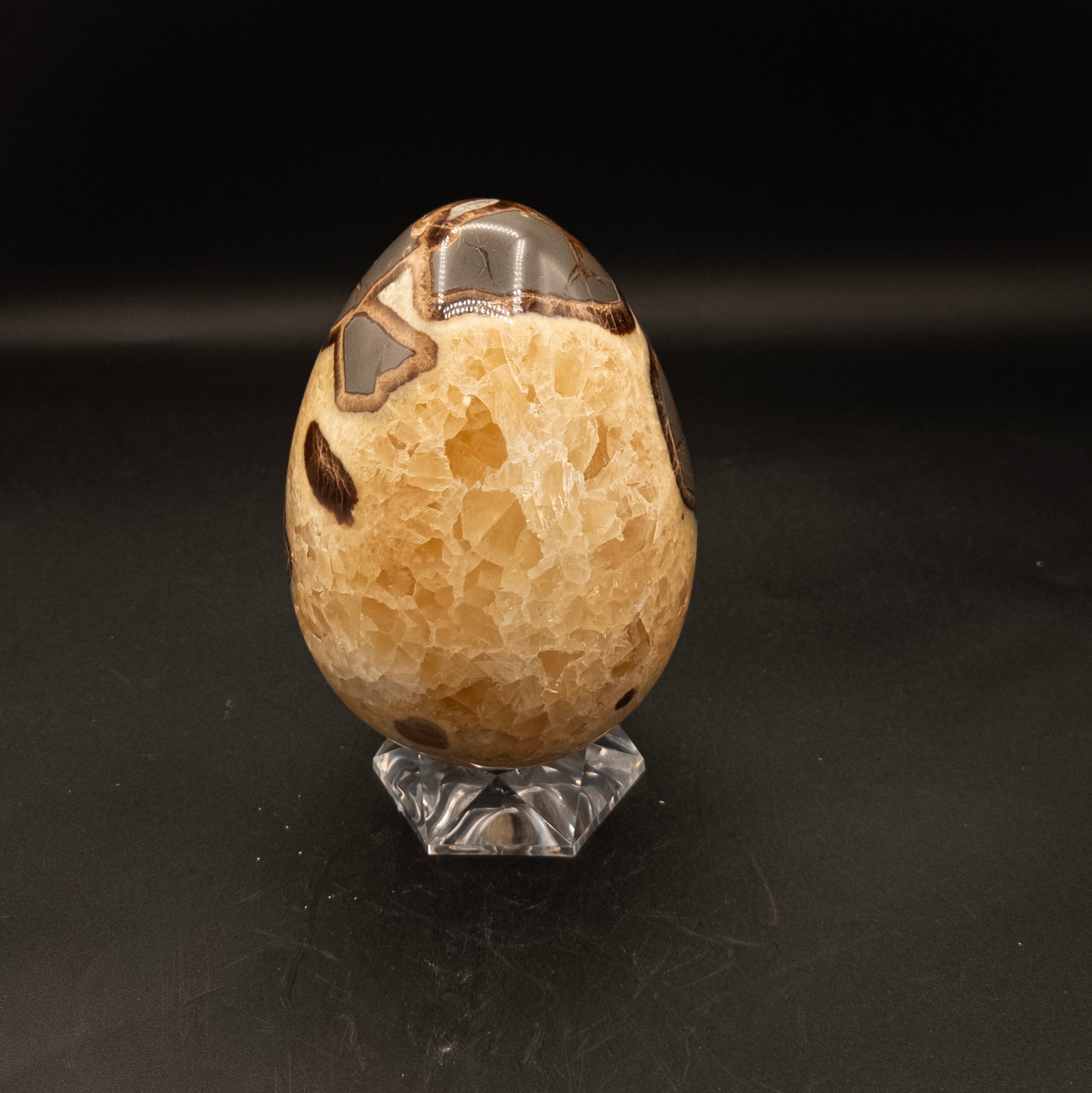 Stunning Septarian Dragon Egg