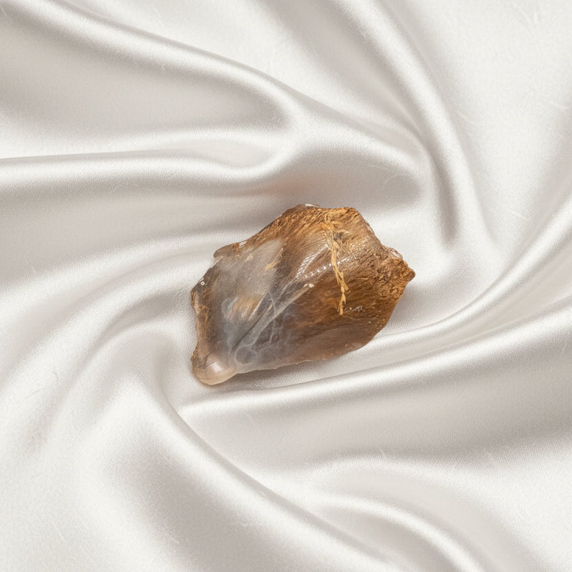 Driftwood Plume Agate