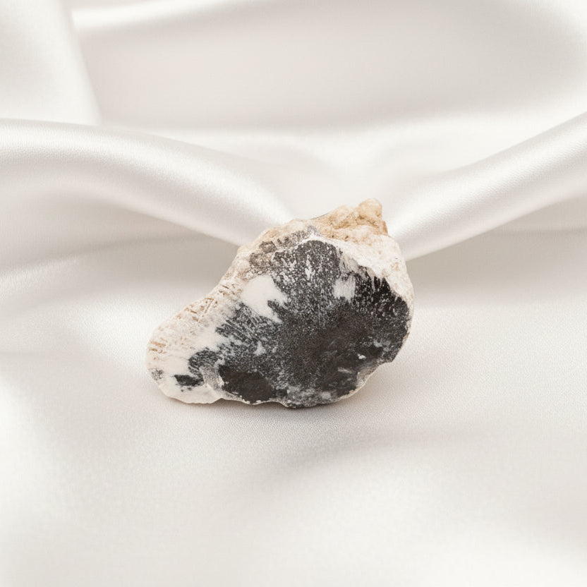 Natural Dendritic Opal