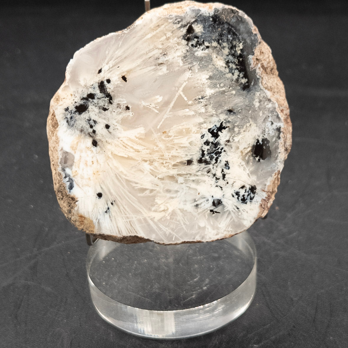 Stunning Unique Dendritic Agate