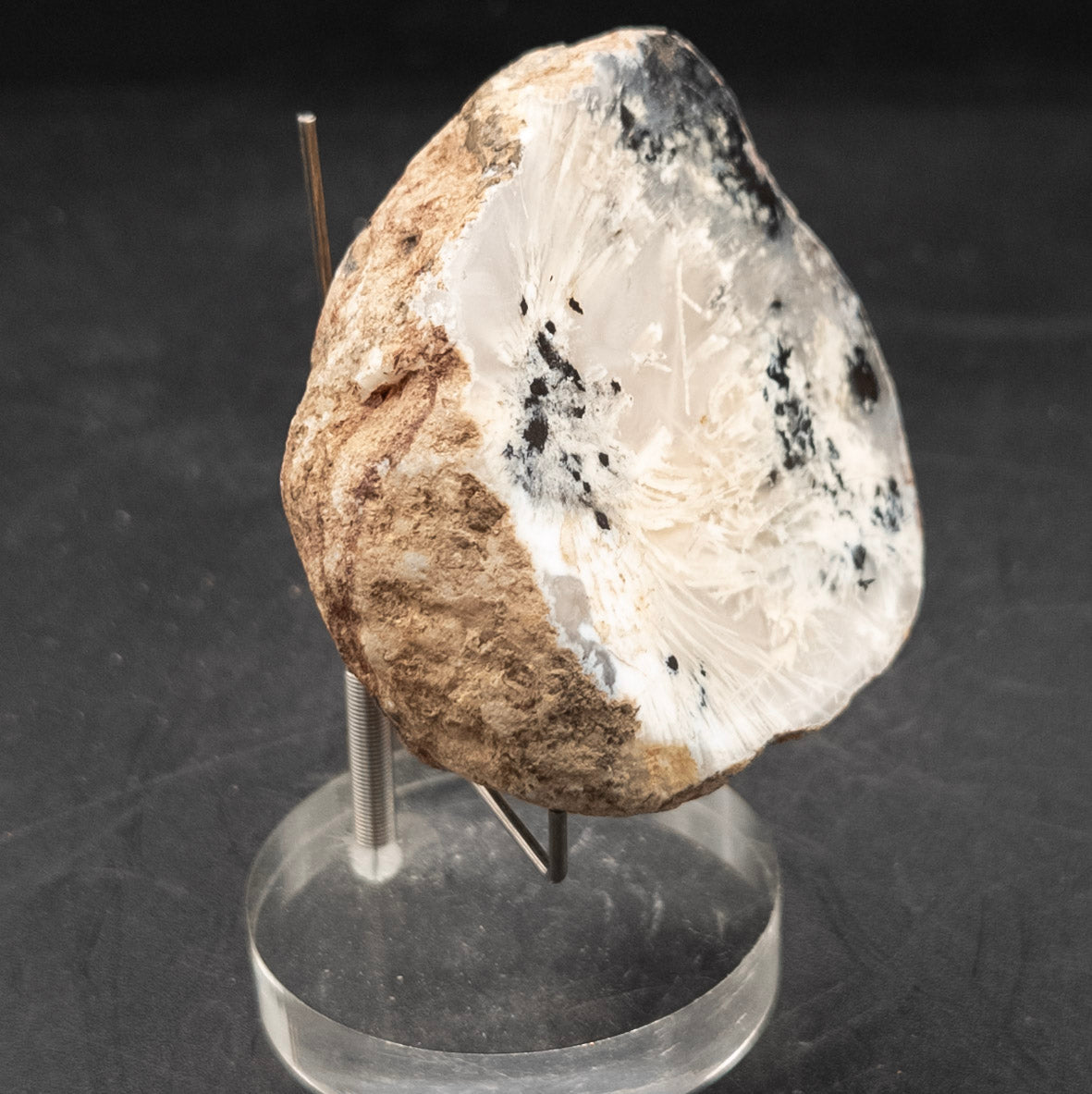 Stunning Unique Dendritic Agate