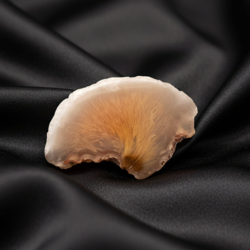 Feathered Plume Agate