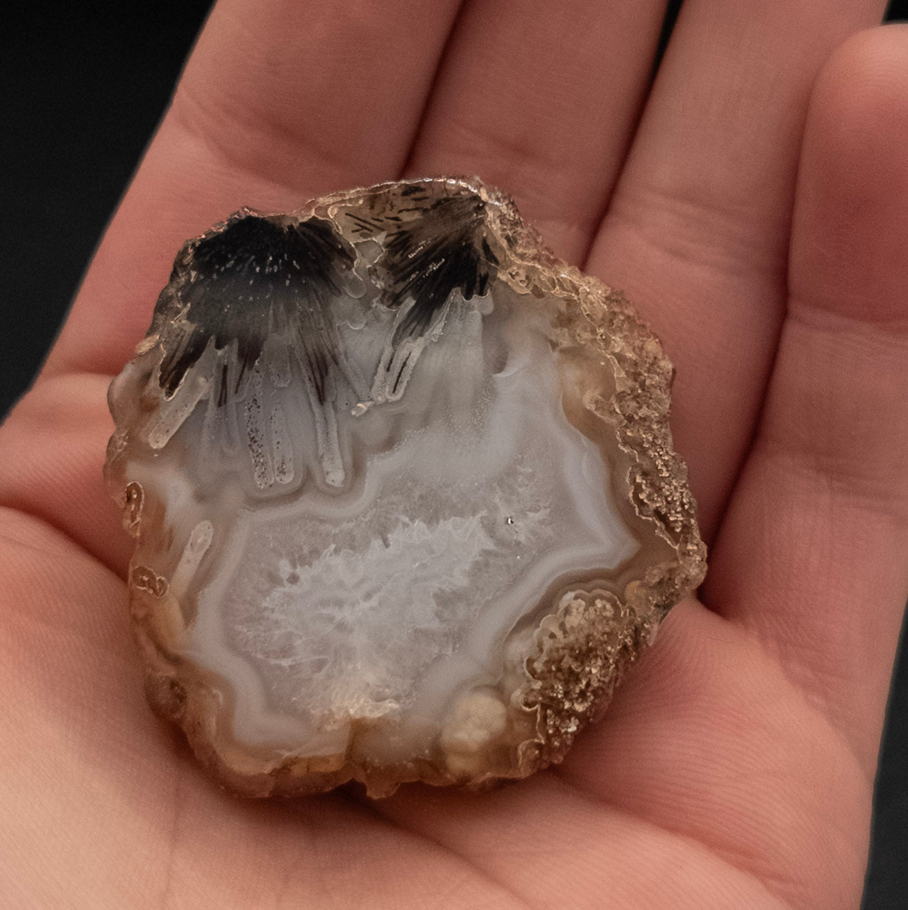 Striking Dendric Agate from Brazil