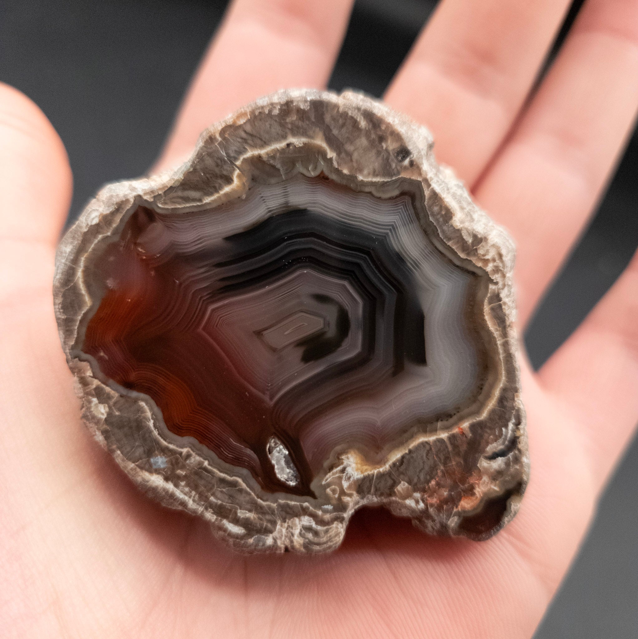 Beautiful Condor Agate Stone