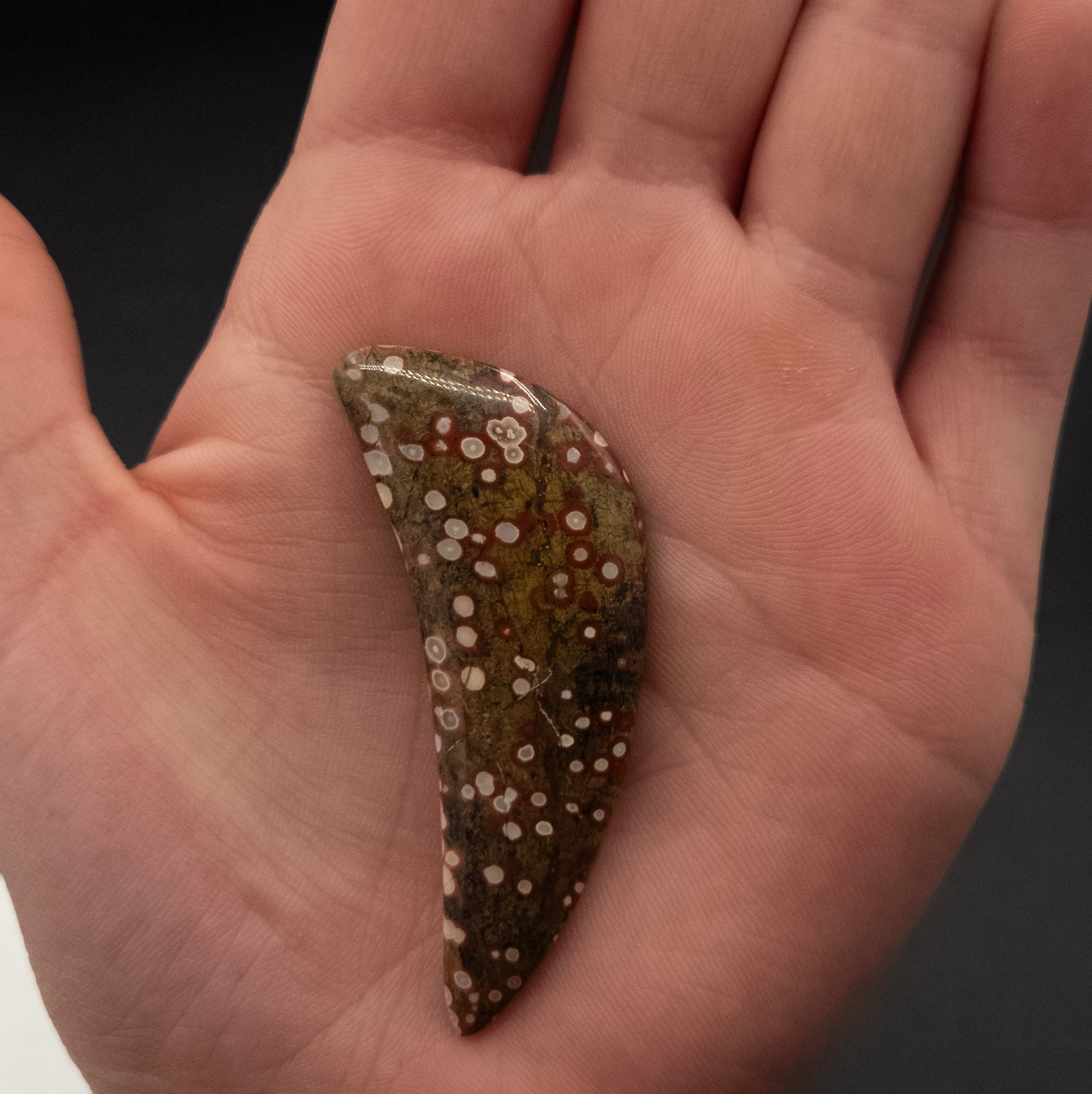 Stunning Ocean Jasper from Mexico