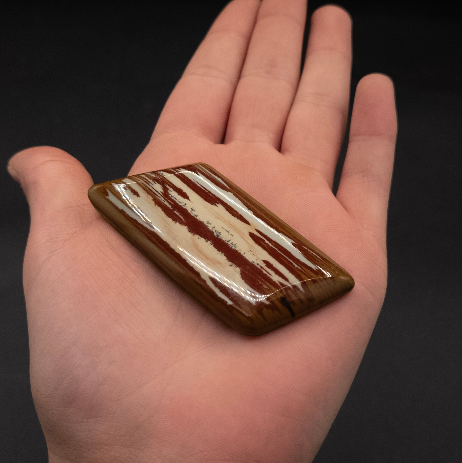 Owyhee Picture Jasper Stone