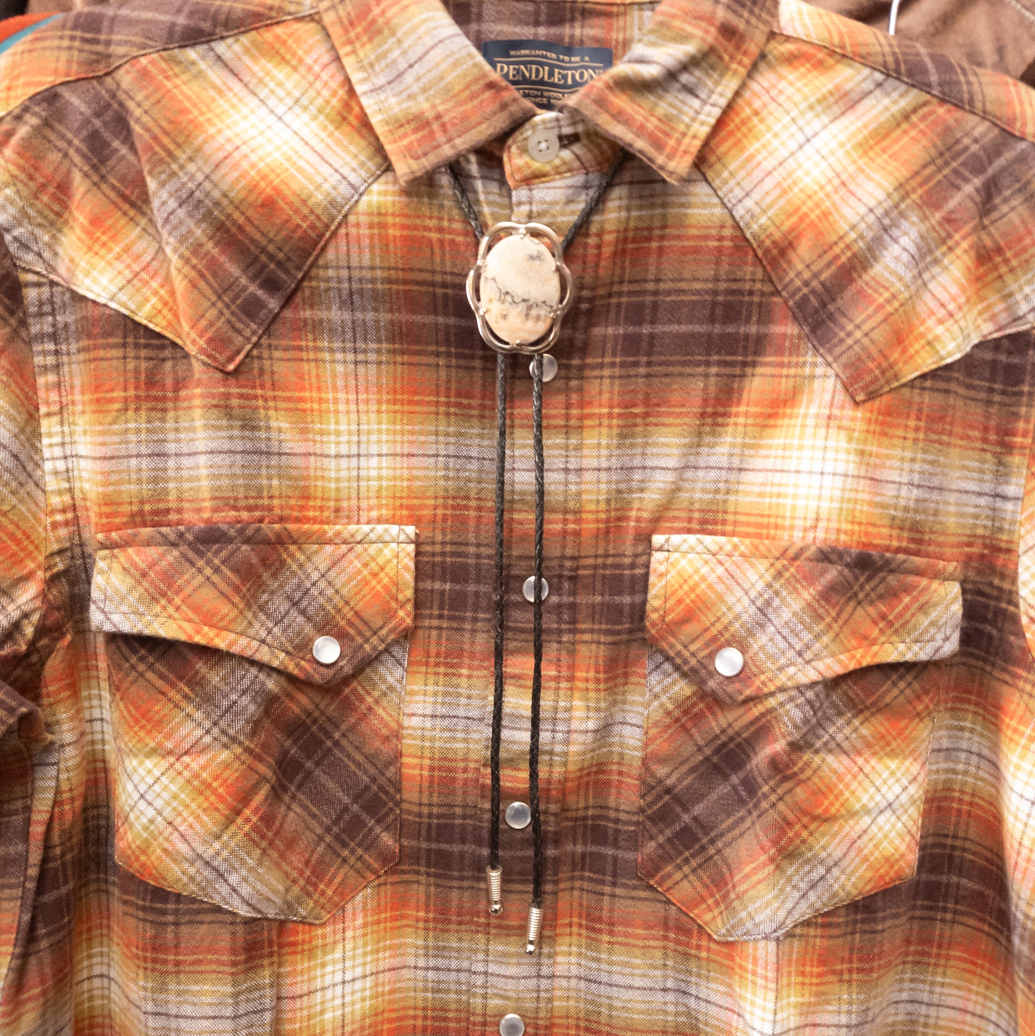 Landscape Silver Encased Jasper Stone Bolo Tie