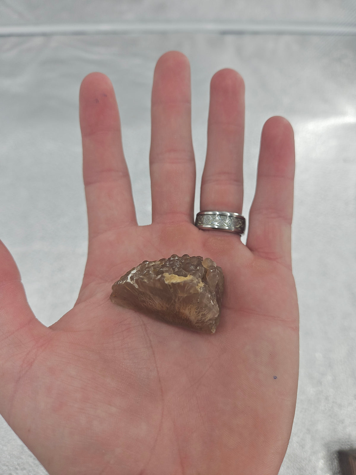 Beautiful Unique Sagenite Agate