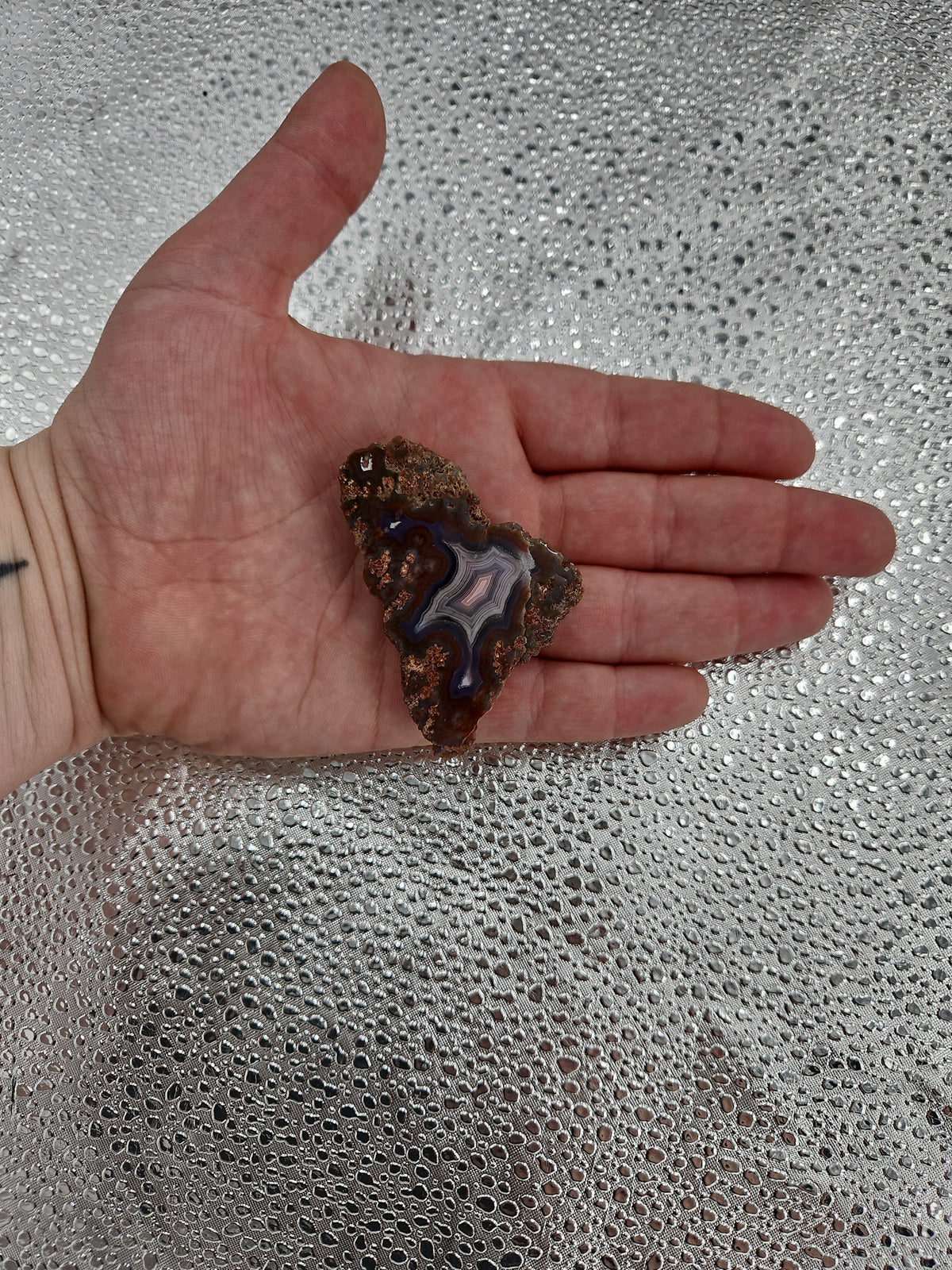 Banded Fortification Purple Agate